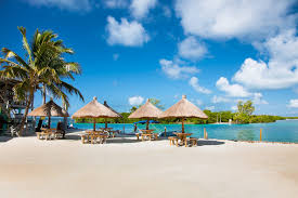 Top Menu Design Agencies in Belize