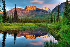 Top or Best Direct Mail Design Agencies and Companies in Anchorage, Alaska