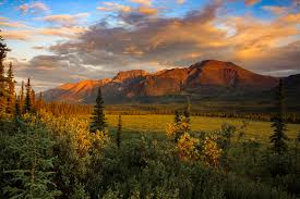 Top or Best Banner Ad Agencies and Companies in Anchorage, Alaska