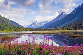 Top or Best App UI/UX Design Agencies and Companies in Anchorage, Alaska