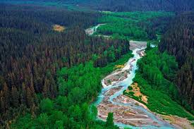 Top or Best Invitation Design Agencies and Companies in Anchorage, Alaska