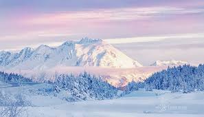 Top or Best Email Campaign Design Agencies and Companies in Anchorage, Alaska
