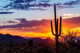 Top or Best Social Media Design Agencies and Companies in Mesa, Arizona