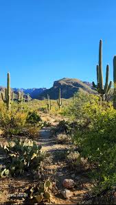 Top or Best Animation and Motion Graphics Agencies and Companies in Mesa, Arizona