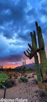 Top or Best Photography and Photo Editing Agencies and Companies in Chandler, Arizona