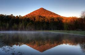 Top or Best NFT Art Agencies and Companies in Conway, Arkansas