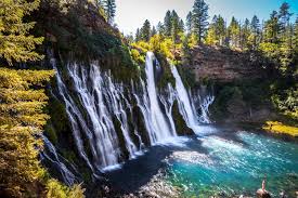 Top or Best Custom Graphics for Videos Agencies and Companies in Bakersfield, California