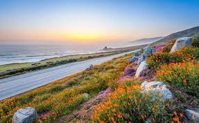 Top or Best Copywriting Agencies and Companies in Anaheim, California