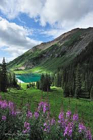 Top or Best Website Design Agencies and Companies in Boulder, Colorado