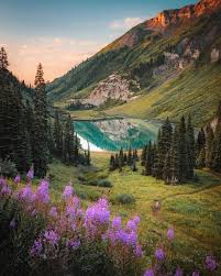 Top or Best Poster Design Agencies and Companies in Boulder, Colorado