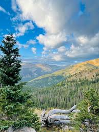 Top or Best Menu Design Agencies and Companies in Boulder, Colorado