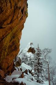 Top or Best Postcard Design Agencies and Companies in Boulder, Colorado