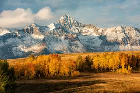 Top or Best Cartoon and Comic Agencies and Companies in Highlands Ranch, Colorado