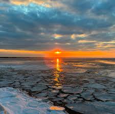 Top or Best Invitation Design Agencies and Companies in Claymont, Delaware