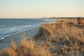 Top or Best Drawing and Illustration Agencies and Companies in Seaford, Delaware