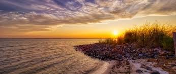 Top or Best Mural Design Agencies and Companies in Seaford, Delaware