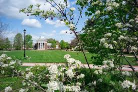 Top or Best App UI/UX Design Agencies and Companies in Seaford, Delaware