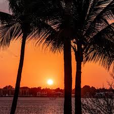 Top or Best Banner Ad Agencies and Companies in Hollywood, Florida
