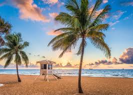 Top or Best AR Filters and Lens Agencies and Companies in Hollywood, Florida