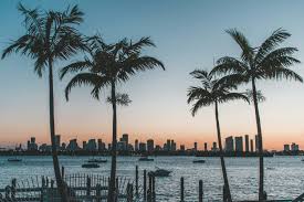Top or Best Email Campaign Design Agencies and Companies in Hollywood, Florida