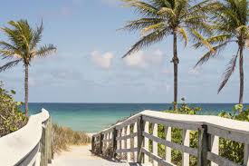Top or Best Invitation Design Agencies and Companies in Gainesville, Florida