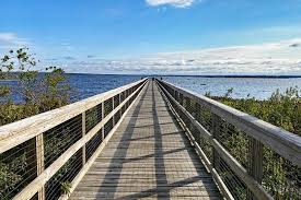 Top or Best Animation and Motion Graphics Agencies and Companies in Gainesville, Florida