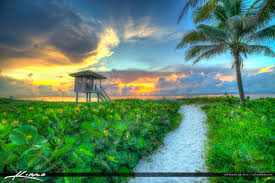 Top or Best Photography and Photo Editing Agencies and Companies in Delray Beach, Florida