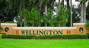 Top or Best Social Media Design Agencies and Companies in Wellington, Florida