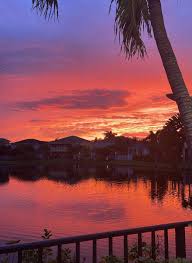 Top or Best Banner Ad Agencies and Companies in Wellington, Florida