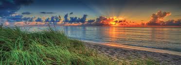 Top or Best Graphics for Streamers Agencies and Companies in Wellington, Florida