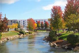 Top or Best Logo Animation Design Agencies and Companies in Caldwell, Idaho