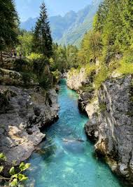 Top Website Design Agencies in Slovenia