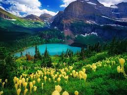 Top or Best Graphics for Streamers Agencies and Companies in Lockwood, Montana