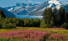 Best Web & Mobile Design Companies in Alaska