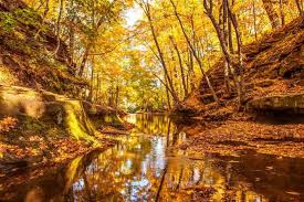 Top AR Filters and Lenses Agencies in Wisconsin