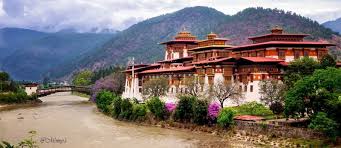 Top App UI/UX Design in Bhutan