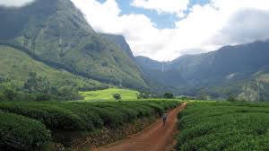 Top 5 Website Design Agencies in Malawi