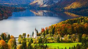 Top Cartoons & Comics Agencies in Slovenia