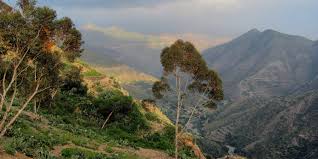 Top Banner Ads in Eritrea