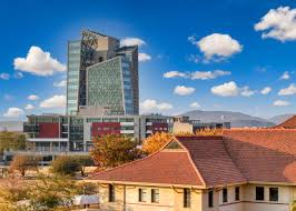 Top Infographic Design in Botswana