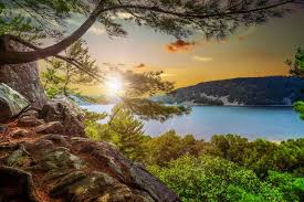 Top App UI/UX Design Agencies in Wisconsin