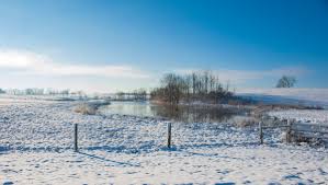 Top Custom Graphics for Videos Agencies in Kentucky