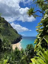 Top or Best Poster Design Agencies and Companies in Honolulu, Hawaii