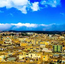 Top Website Design in Eritrea