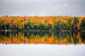 Top Presentation Design Agencies in Wisconsin