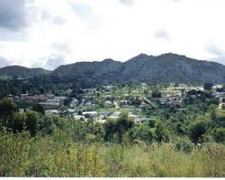 Top Cartoons & Comics in Eswatini