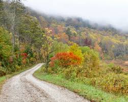 Top Virtual Background Design Agencies in Kentucky