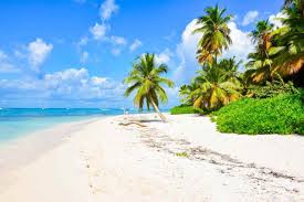 Top Custom Graphics for Videos Agencies in Haiti