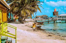 Top Brand Identity Packages in Belize