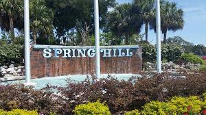 Top or Best Logo Animation Agencies and Companies in Spring Hill, Florida
